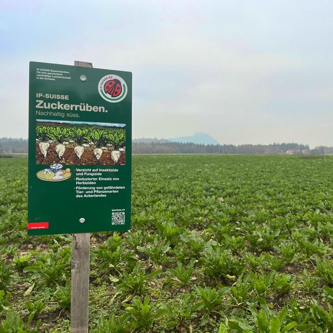 🍬 Warum wir uns für IP-SUISSE Zucker entschieden haben 🍬